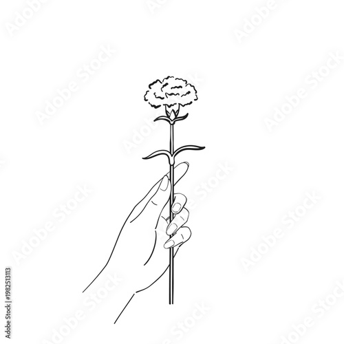 Mother’s Day carnation flower hand holding line art vector illustration