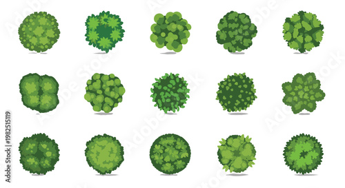 Diverse collection of fifteen hand-drawn top-down tree illustrations featuring varied canopy foliage densities and vibrant green color gradients for design.
