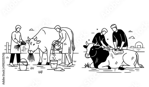 Cattle feeding and farm maintenance vector icon set showing farmers with livestock in daily agricultural tasks for professional farming and ranching guides