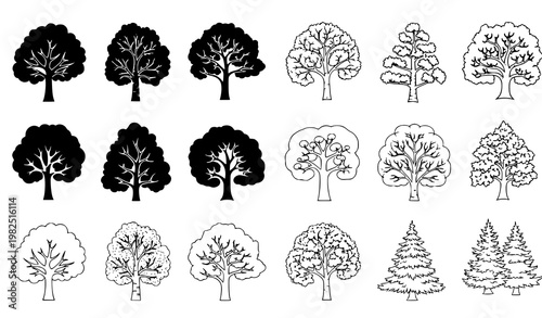 Detailed tree species collection featuring various deciduous and coniferous shapes for botanical and forest landscape design in vector format
