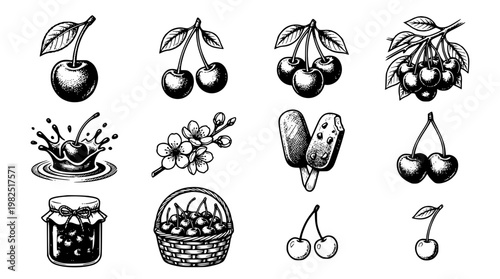 Vector graphic illustration of various cherry designs and icons