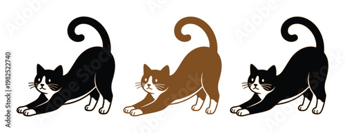 Stretching cat vector illustration set, cute tuxedo and brown cats in yoga pose, 3 cartoon feline characters for pet care branding and stickers