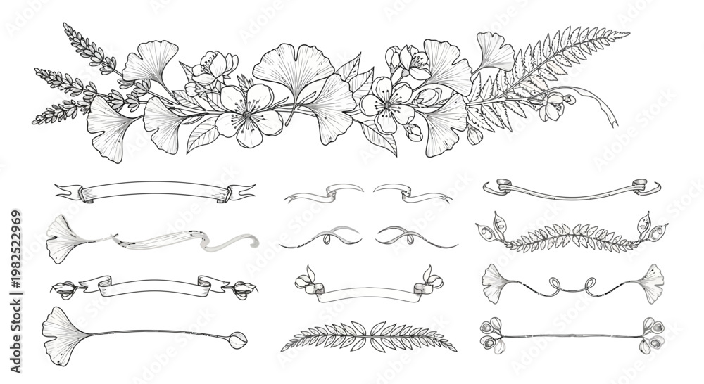 Fototapeta premium Elegant botanical illustrations floral elements and decorative ribbons design