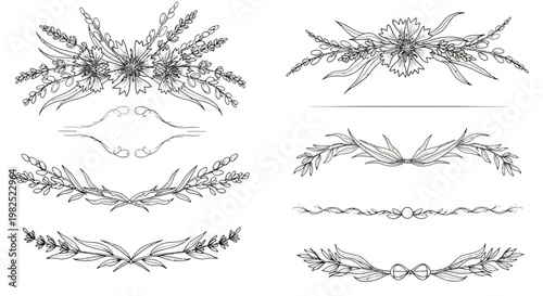 Elegant botanical illustrations floral design elements for various applications