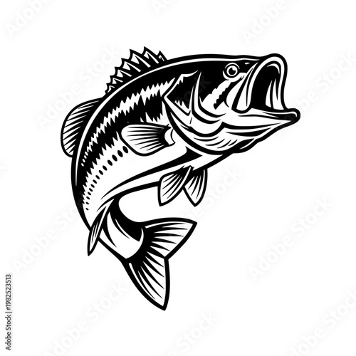 A large mouth bass jumping out of the water Vector, illustration