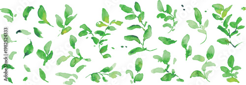 水彩画。水彩タッチの新緑の葉っぱイラスト。緑の葉っぱベクターフレーム。
Watercolor painting. Watercolor-style illustration of fresh green leaves. Green leaf vector frame.