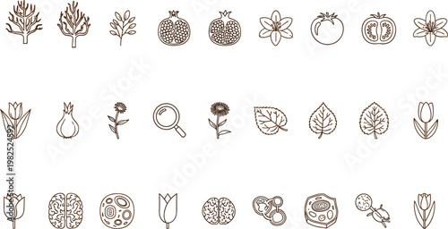 Hand drawn botanical icons set featuring trees flowers leaves fruits seeds and scientific elements minimal line art vector collection
