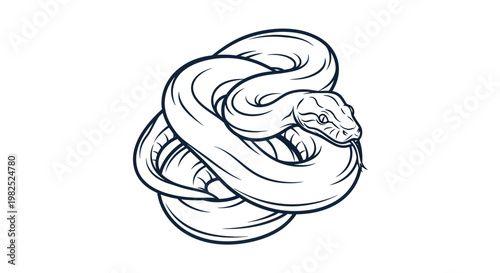 Stylized Serpent Coil Illustration, Snake Outline Art, Reptile Design