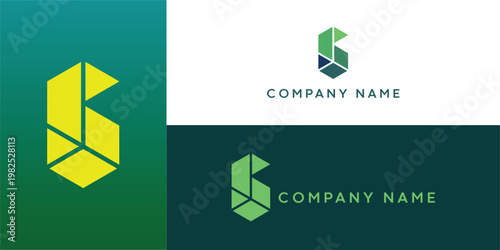 Initial letter S or alphabet S. Unique Vector logo design