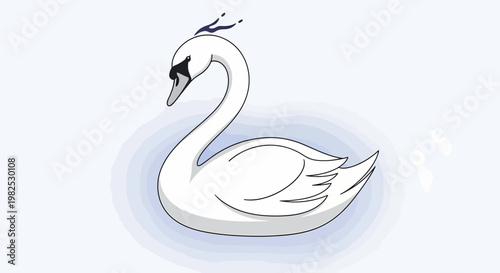 White Swan Bird Animal Illustration.