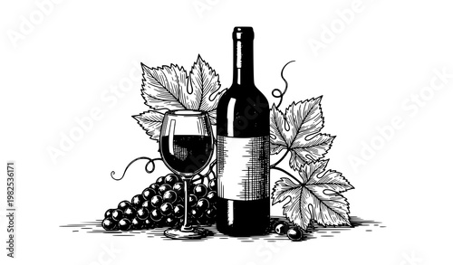 Wine still life ink sketch vector retro bottle glass grapes illustration