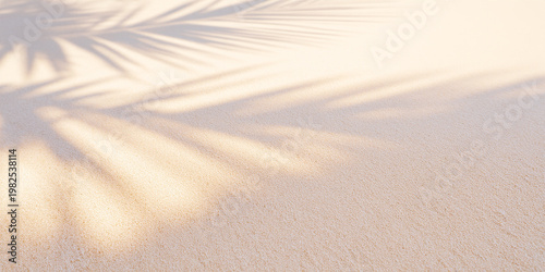 Palm Leaf Shadows on Sunlit Tropical Beach Sand