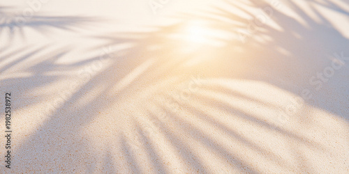 Tropical Summer Background with Palm Leaf Shadows on Sunny Sand