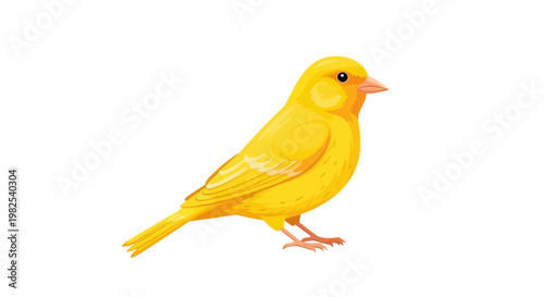 Yellow Bird Canary Songbird Illustration.