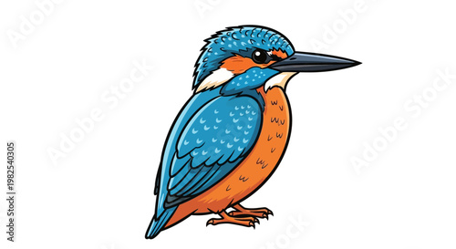 Colorful Kingfisher Bird Profile View.