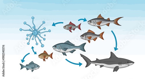 Fish Shark Marine Life Food Chain.