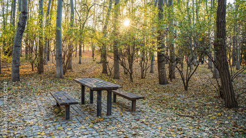 Autumn forest fallen leaves on wooden table healing forest picnic lifestyle sunlight through leaves