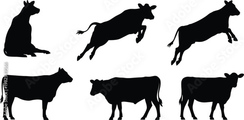 Six Black Silhouette Cow Poses Including Sitting and Jumping cattle animal