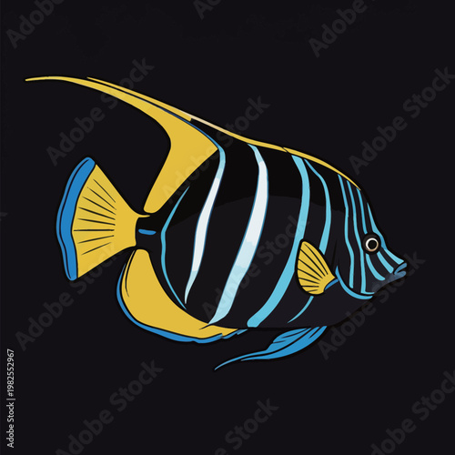 Illustration of a colorful angelfish on black background