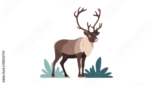 Stately reindeer with large antlers standing calmly in a natural setting among small green bushes on a plain white background.