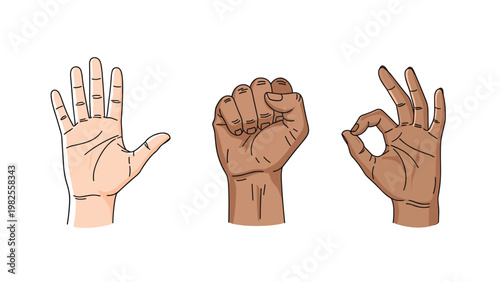 Three hands with diverse skin tones demonstrating various gestures including an open palm, a closed fist, and the okay sign.