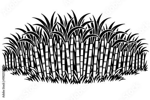 Black and White Line Art Illustration of a Dense Sugarcane Crop Field for Agricultural Designs, Featuring Segmented Stalks and Lush Leaves in a Simple Flat Vector Style for Farming Graphics.