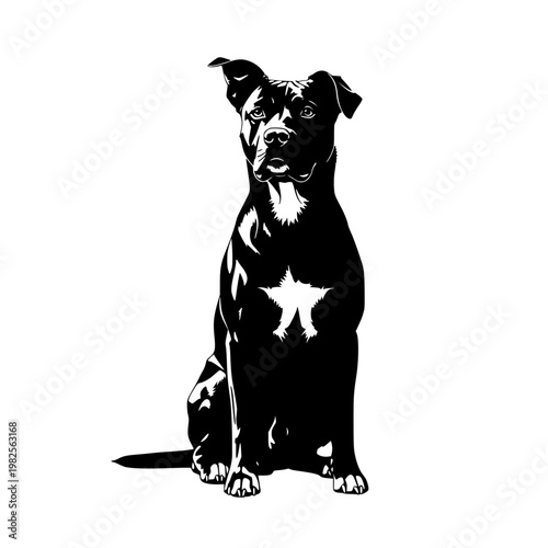 A black dog with a white star on its chest Vector, illustration