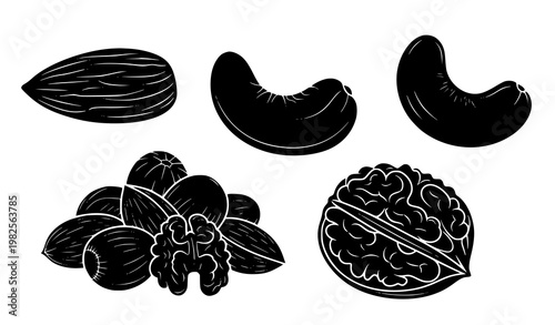 Detailed dry fruits silhouette icon set vector illustration