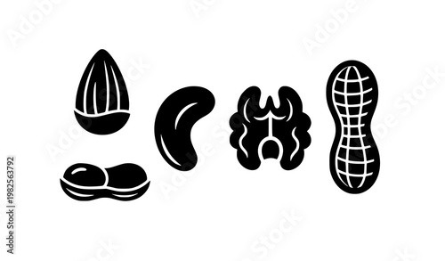 Dry fruits silhouette icon pack modern UI vector illustration
