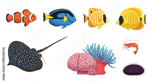 Vibrant collection of diverse marine life illustrations, featuring tropical fish, a spotted stingray, shrimp, sea urchin, and colorful corals.