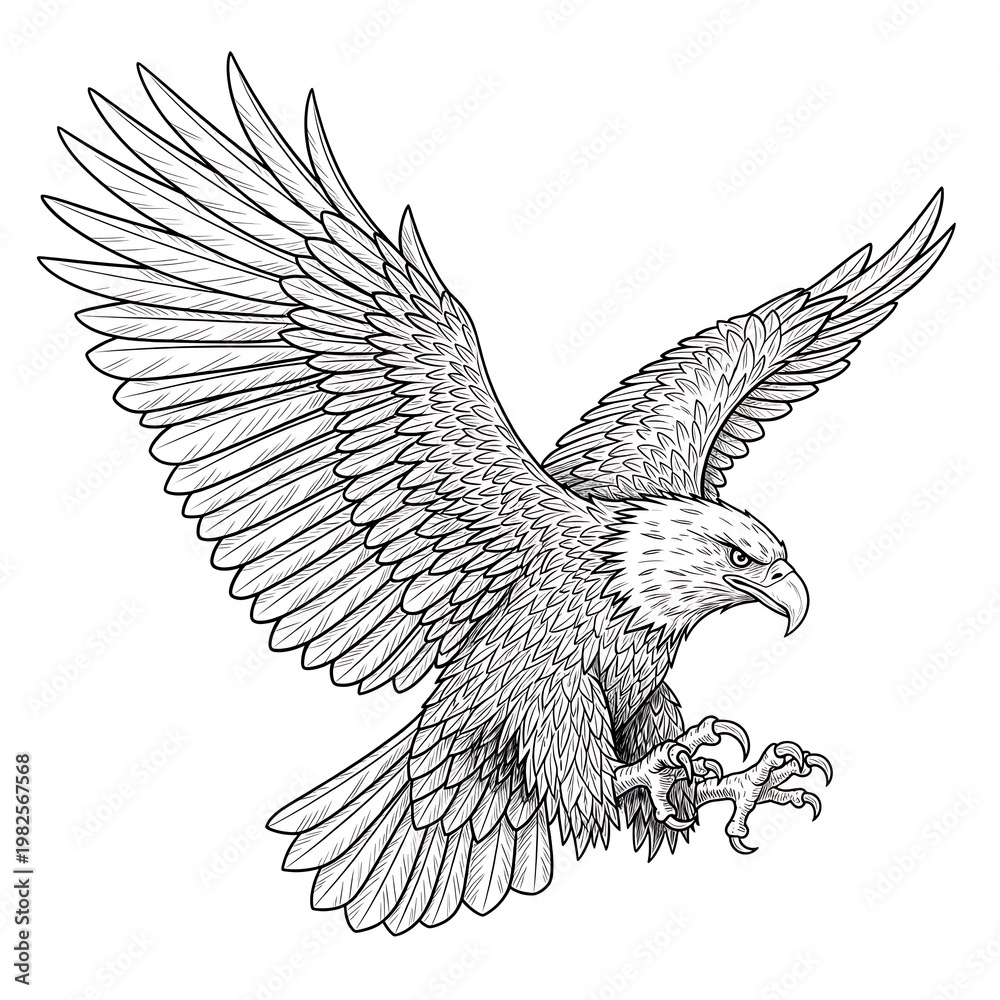 Fototapeta premium A detailed drawing of an eagle with its wings spread wide