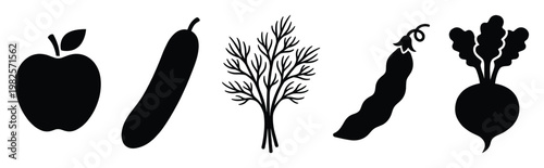 A stylish graphic assortment of natural organic food elements including apple cucumber dill pea pod and beet ideal for healthy eating promotions and recipe illustrations