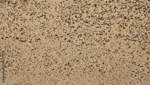 Rough beige textured wall background with grainy sand surface pattern. Rough concrete wall texture with organic dark spots, grainy stucco wall texture, natural material background.