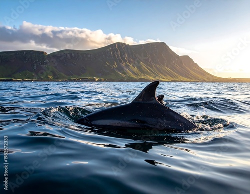 A sleek, dark marine mammal breaches the water, mountains and a sunlit sky form a picturesque background