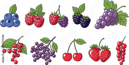 Vector Collection of Colorful Berries Including Blueberries, Raspberries, Grapes, Cherries, and Strawberries with Leaves