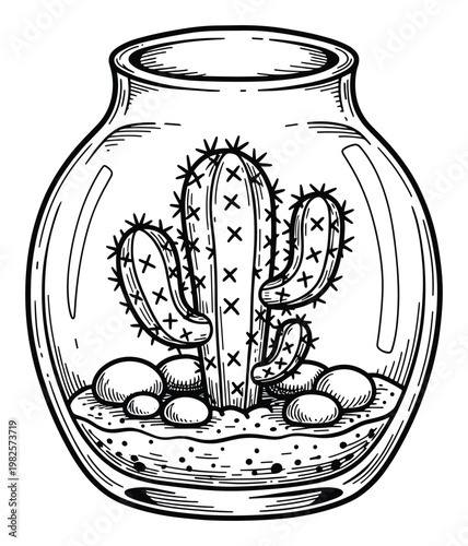 Detailed line drawing of a charming cactus terrarium inside a glass jar, perfect for nature themed home decor projects, plant care guides, and botanical inspired graphic designs