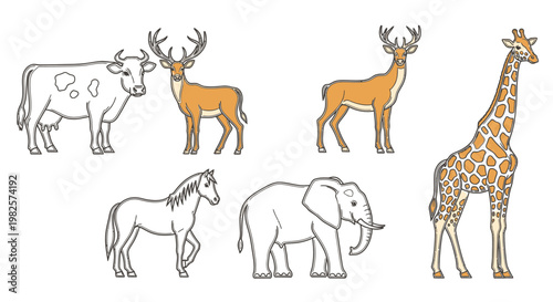 Colorful illustration of various animals.