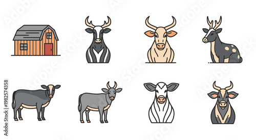 Cows and bulls in farm setting.