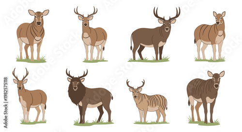 Group of deer standing together outdoors.