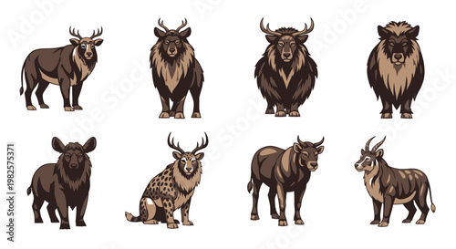 Group of Various Large Mammal Animals.