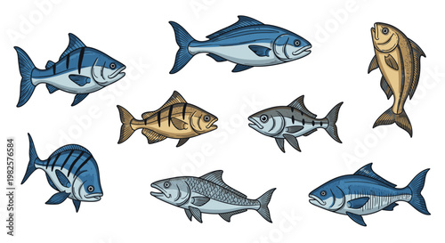 School of colorful fish swimming together.