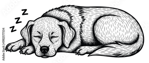 Adorable sleeping dog puppy peacefully resting, ideal for veterinary clinic advertisements, pet care promotions, animal welfare campaigns, and calming digital content