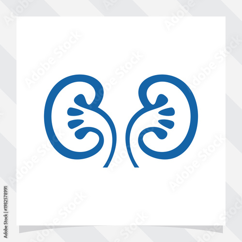 healthy kidney vector illustration. suitable for logo design and icon.