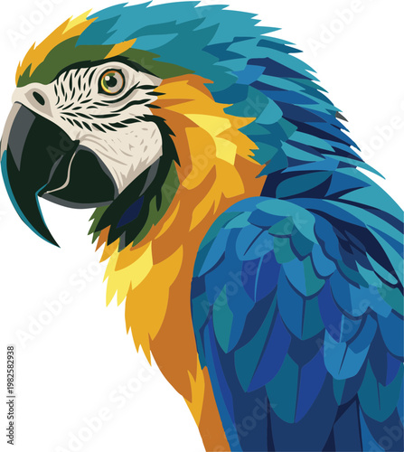 blue and yellow macaw