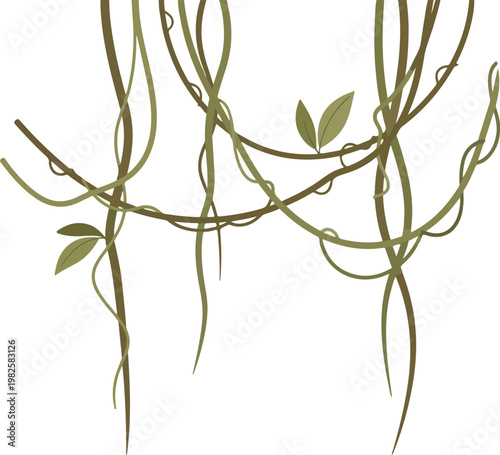 Lush green jungle vines with leaves hanging down on a white background, perfect for nature and tropical themes