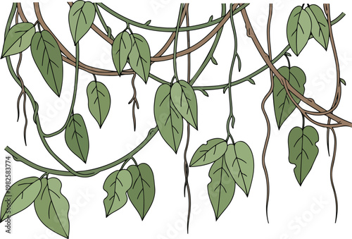 Lush green hanging vines with leaves, creating a dense jungle canopy backdrop
