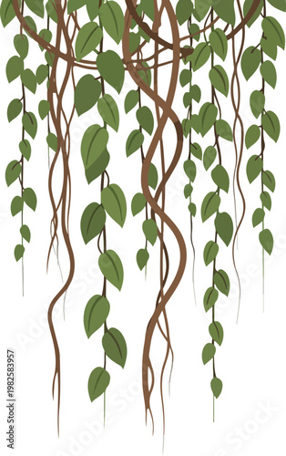 Vines with lush green leaves hanging down in a natural jungle setting, perfect for nature-themed designs
