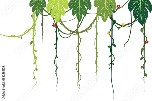 Jungle vines with leaves and flowers, tropical foliage, hanging plants, natural elements