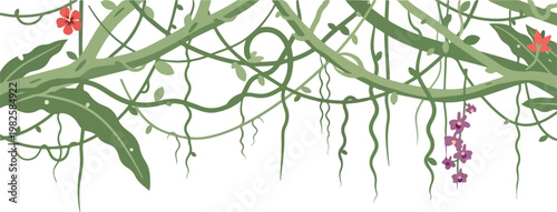 Jungle vines and exotic flowers hanging from branches in a tropical forest background illustration