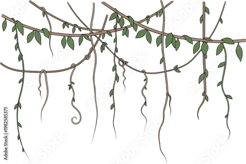 Jungle vines and hanging leaves, illustrating a natural and wild forest canopy in a serene environment